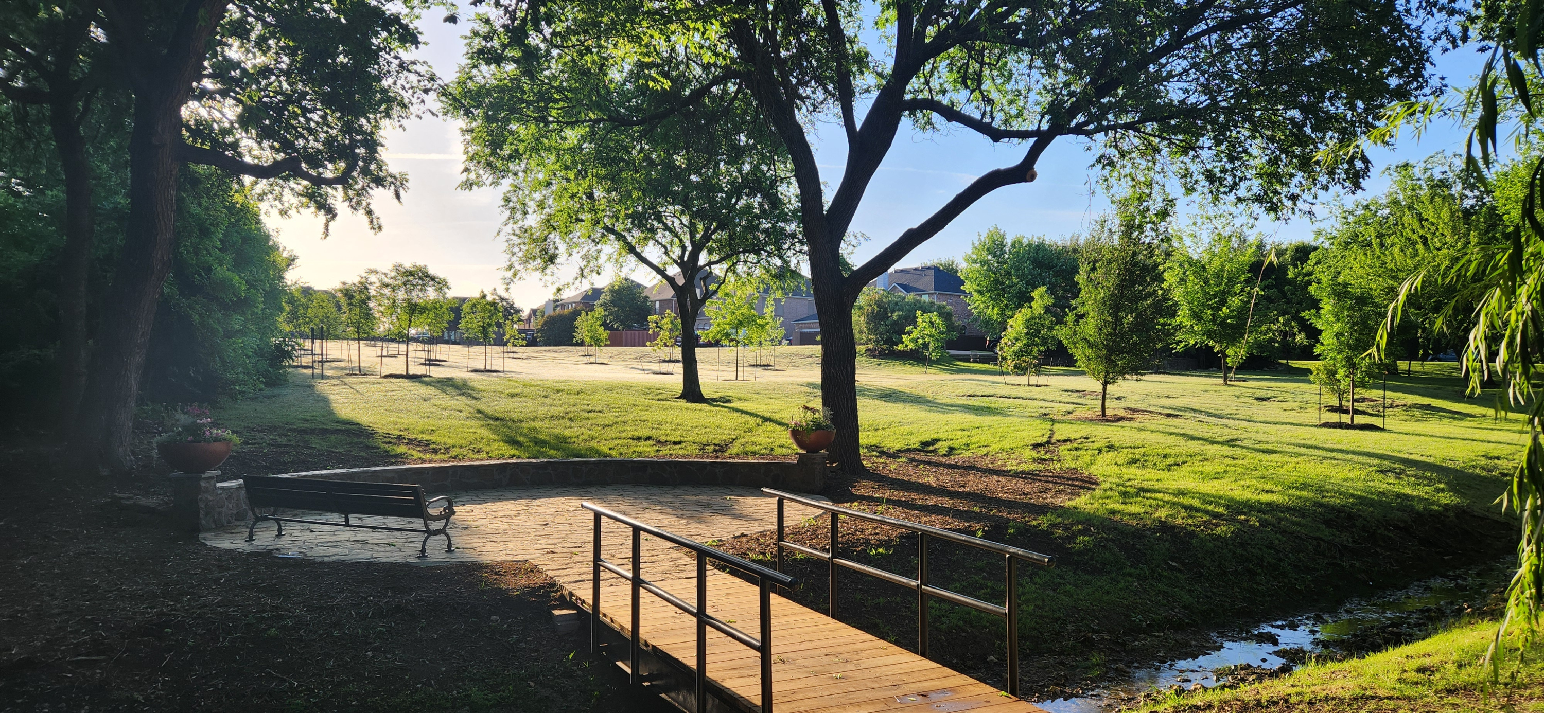 greenbelt trees bench path